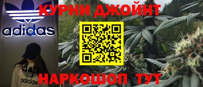 стаф Бузулук